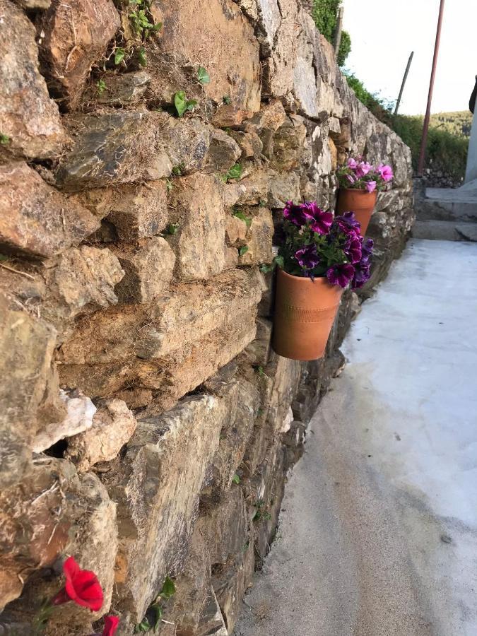 Willa Casa Da Clarinha Castelo de Paiva Zewnętrze zdjęcie